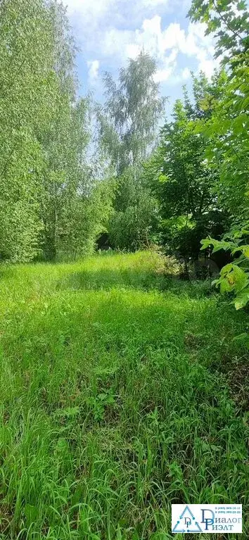 Участок 10,9 сот. (ИЖС) - Фото 8