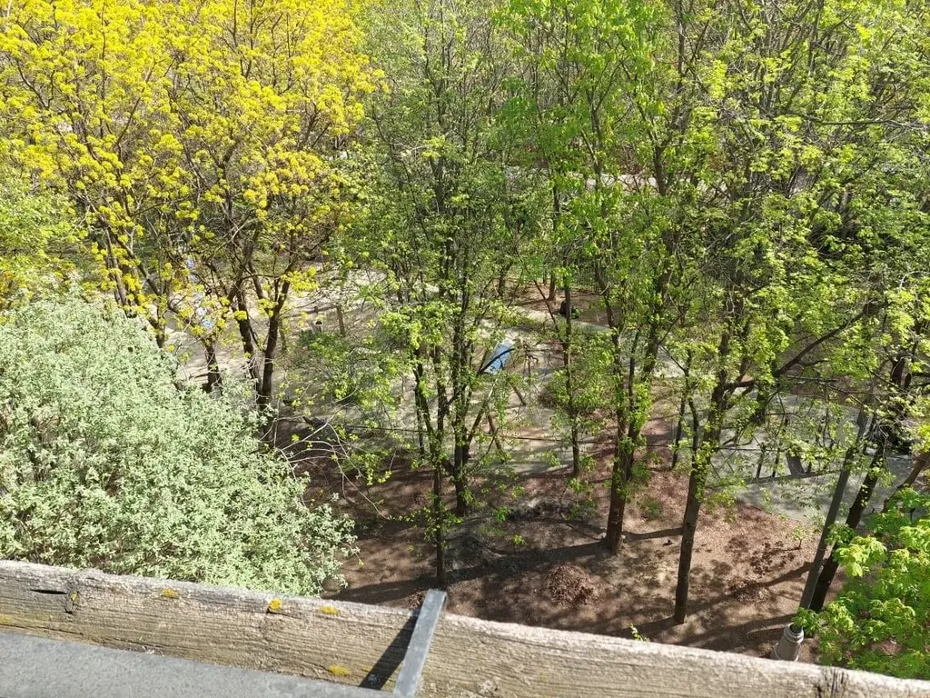 1-к.ул.Косыгина, д.13 - Фото 12