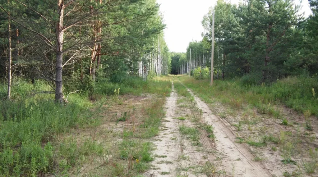 морозовы дворы. морозовы дворы калужская область охота. большие козлы. морозовы дворы. морозовы дворы калуга.