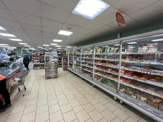 Продажа ПСН, Софрино, Пушкинский район, ул. Патриарха Пимена - Фото 2