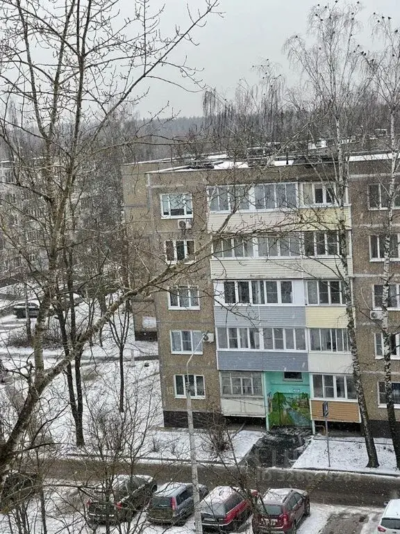 Продажа трехкомнатной квартиры 62.0м Московская область, Егорьевск, .. - Фото 24