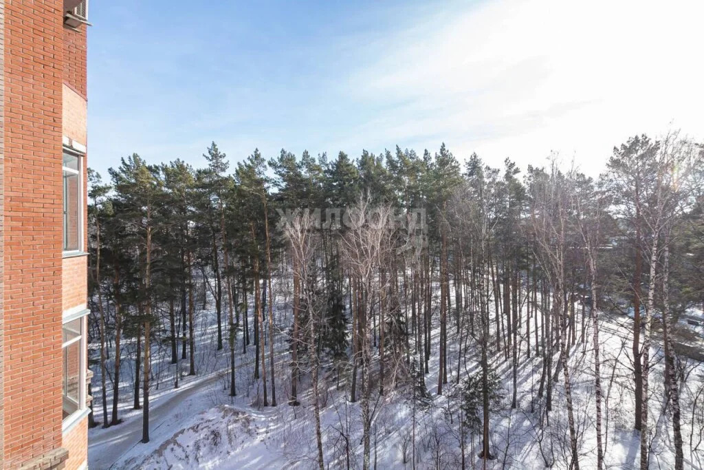 Продажа квартиры, Новосибирск, ул. Ильича - Фото 23
