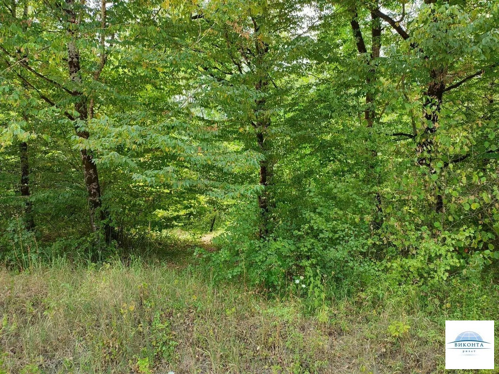 Продажа участка, Нижегородская, Апшеронский район, ул. Центральная - Фото 11