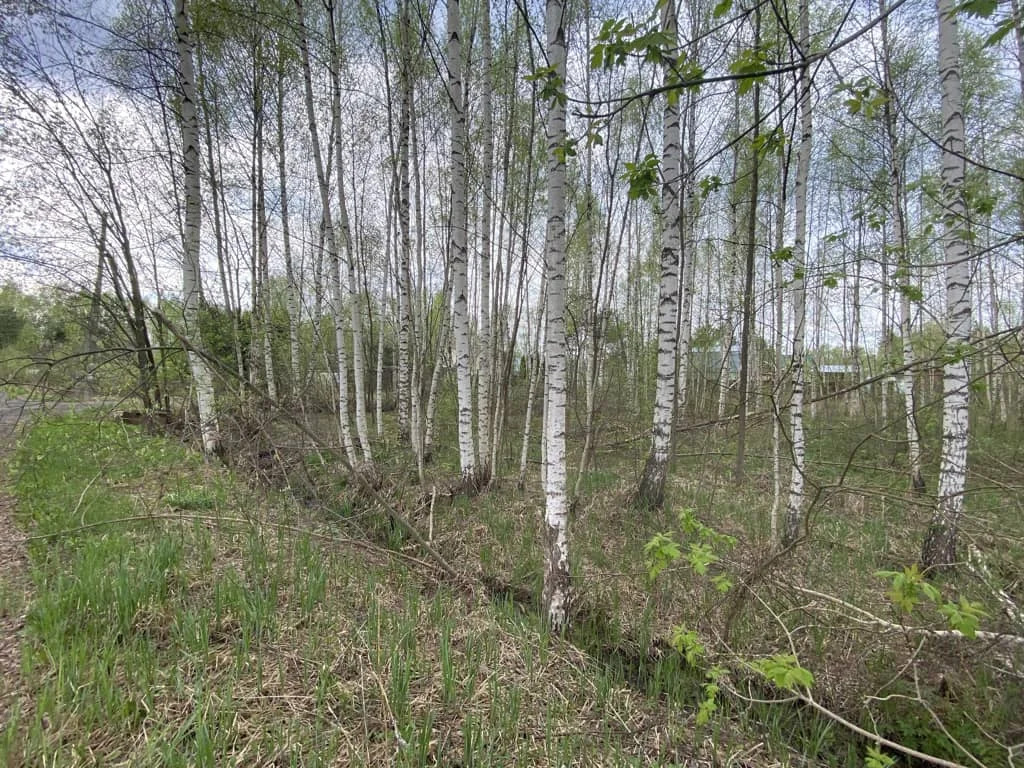 Продажа участка, Дмитровский район - Фото 9