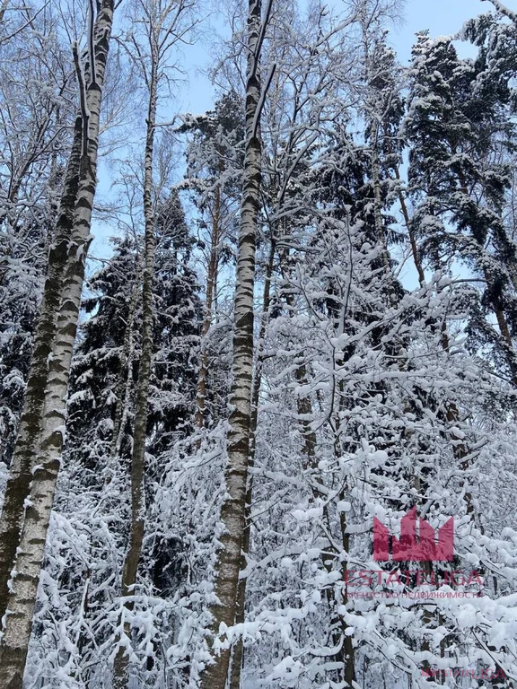 Продажа дома, Ледово, Щелковский район, территория СНТ Экология-1 - Фото 18