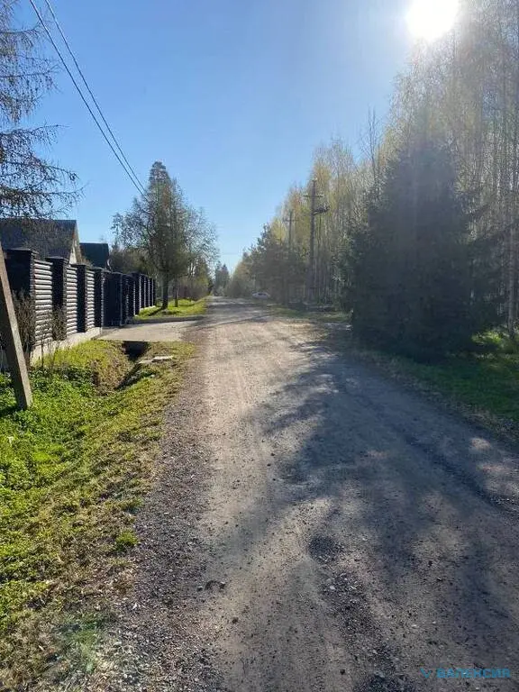 участок в Гатчинском р-не, п. Карташевская, 25 сот, ИЖС. - Фото 5