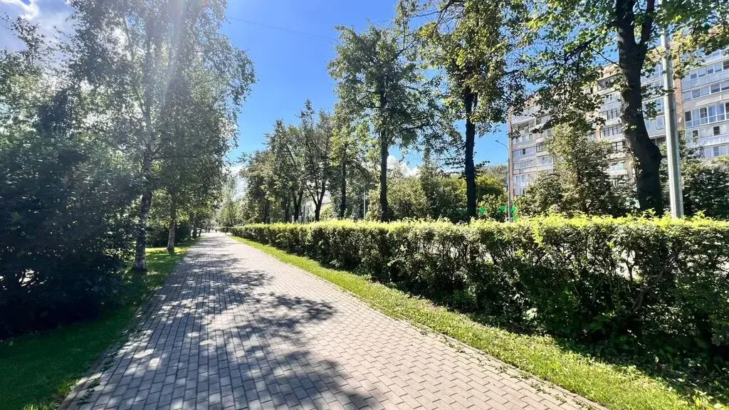 3-ка в г. Мытищи - Фото 24