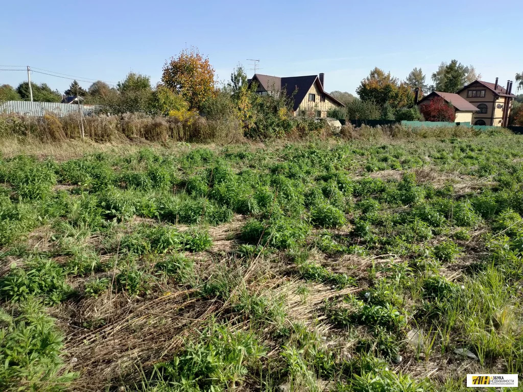 участок десна. участок десна. деревня десна поселение десёновское агропункт. река беседь брянской области. п.