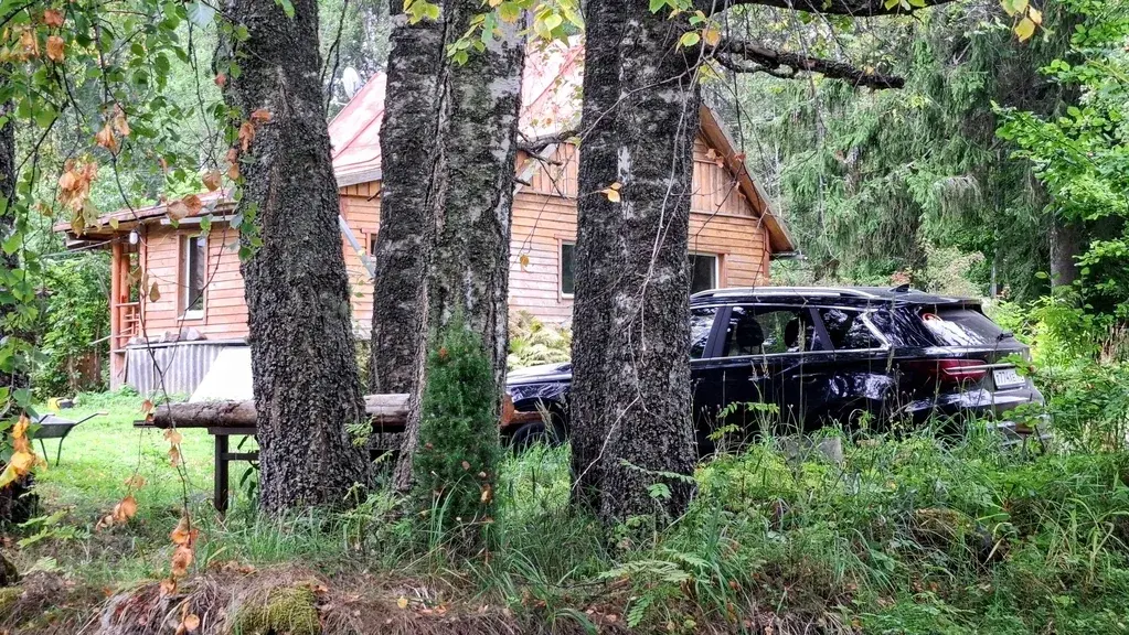 Добротный дом с баней на хуторе в лесу под Старым Изборском - Фото 3