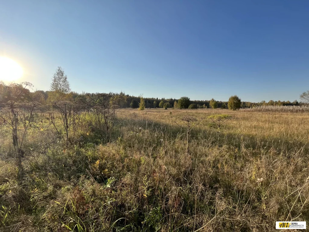 Продажа участка, Жилино, Солнечногорский район - Фото 8