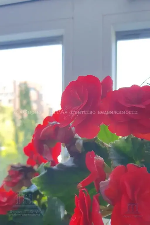 Продаю 3к квартиру в ЖК Триумф в центре Ростова-на-Дону парк Революции - Фото 15
