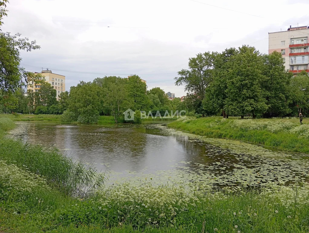 Санкт-Петербург, улица Лёни Голикова, д.18, 2-комнатная квартира на ... - Фото 31