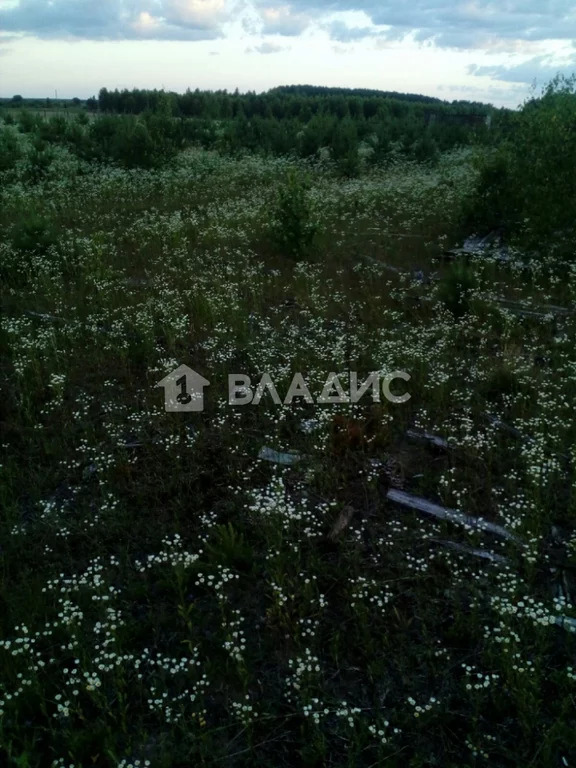 Купить Дом В Пошатово Краснооктябрьский Район