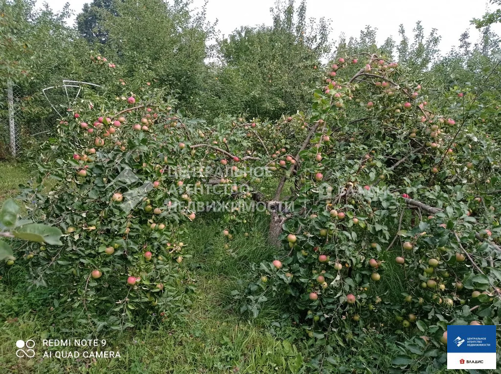 Продажа дома, Латыгори, Зарайский район - Фото 34