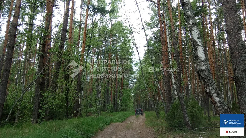 Продажа дома, Велье-Родионовка, Спасский район - Фото 42