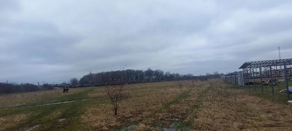 Продажа участка, Новодмитриевская, Северский район, улица Победы - Фото 3