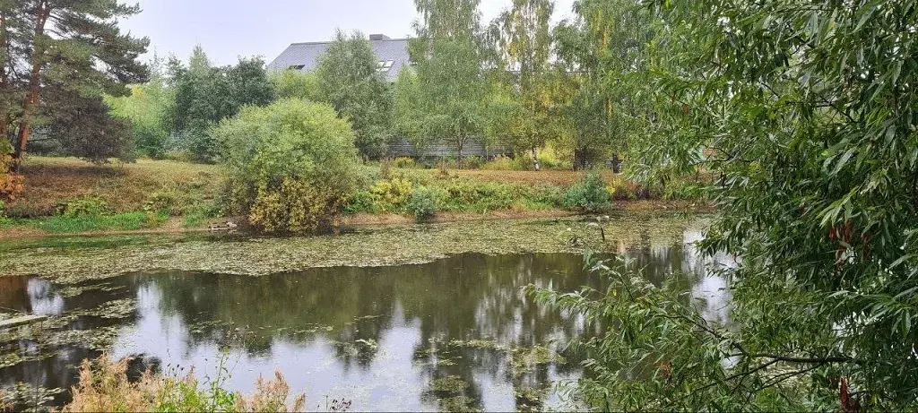 Участок у пруда на Рублевке в Шульгино - Фото 5