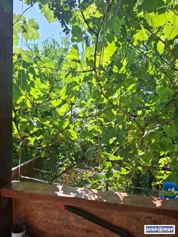 Продается Дом - Фото 26