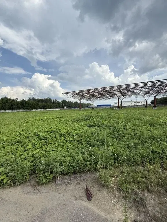 Продажа склада 7500.0м ул. Центральная, 17В, Московская область, ... - Фото 7