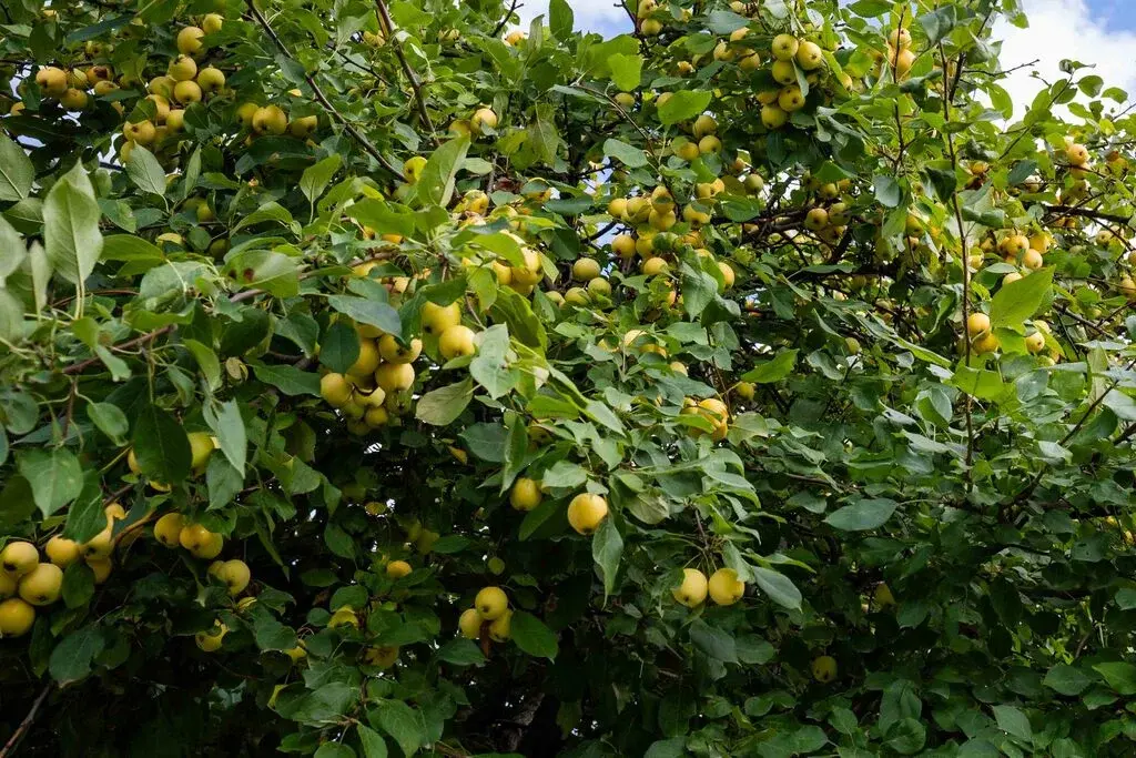 Дом по ул. Кутузова - Фото 2