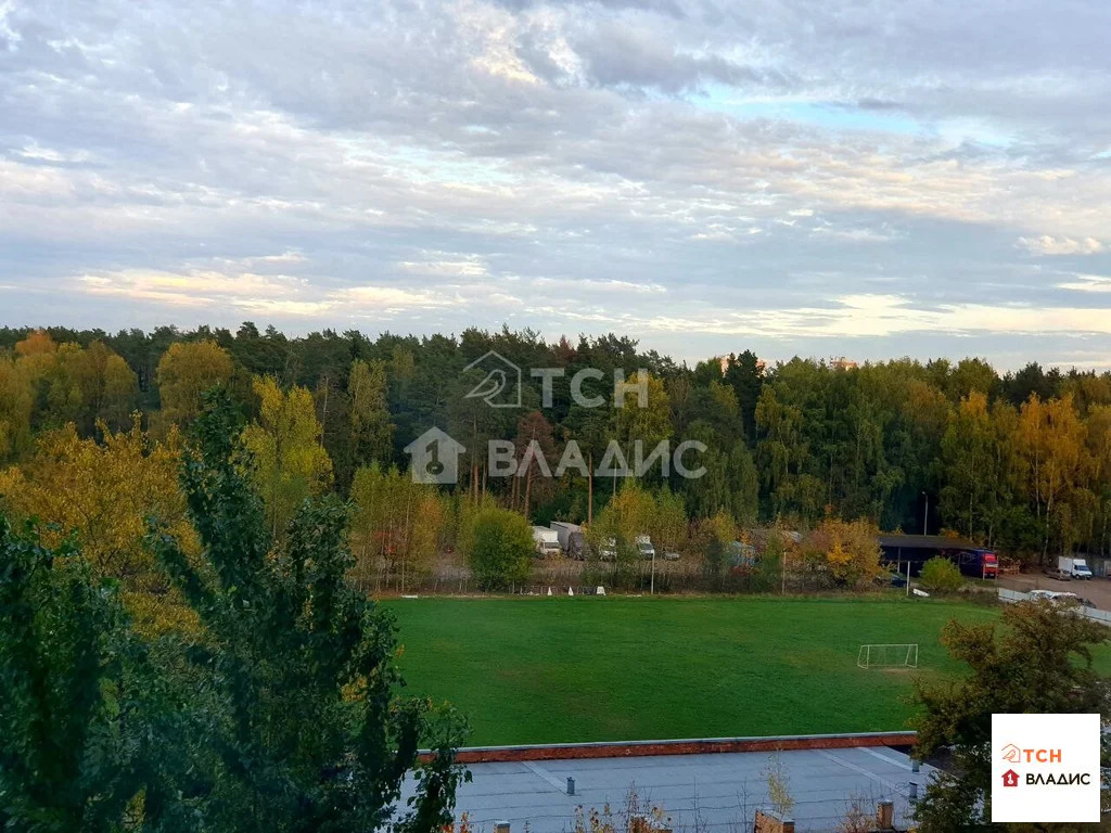 Продажа квартиры, Балашиха, Балашиха г. о., Северный проезд - Фото 20