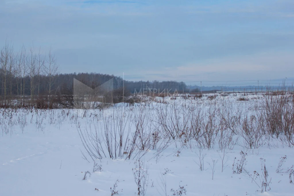 Продажа участка, Горьковка, Тюменский район, Тюменский р-н - Фото 0