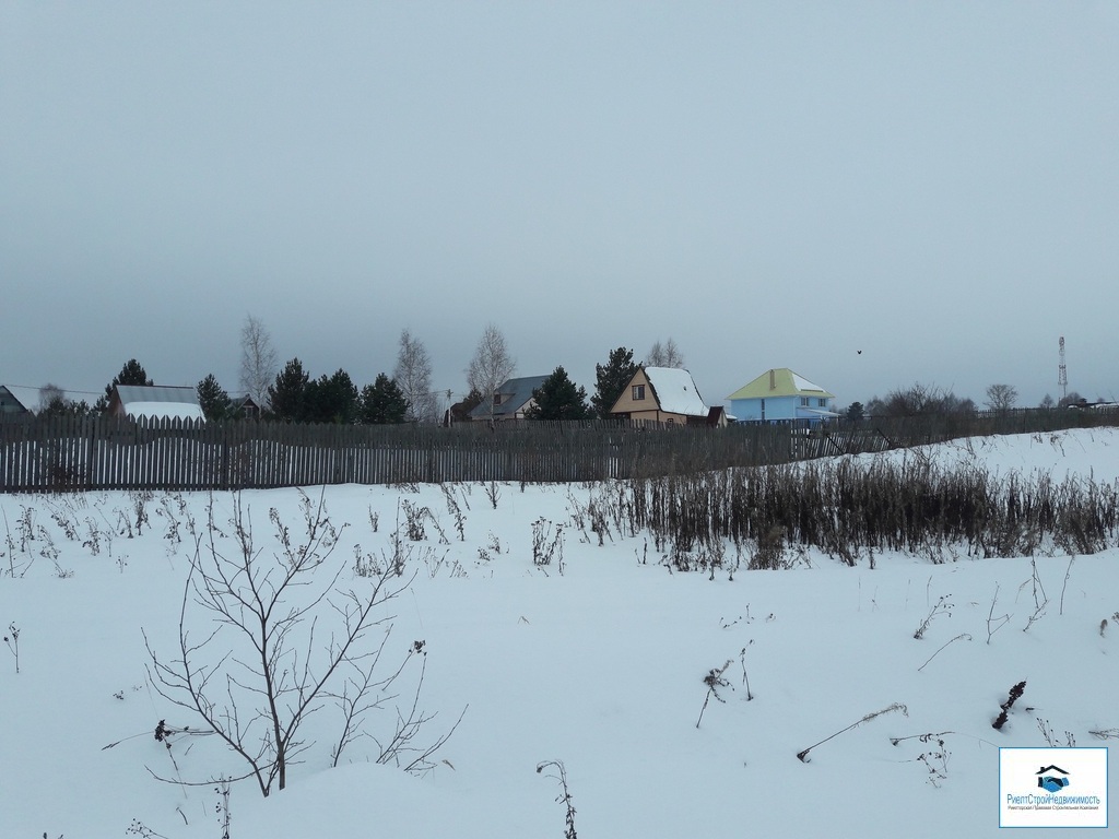 Можайский район деревня мышкино фото