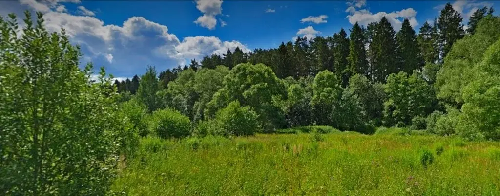 Большой Лесной участок для застройки (сосны, ели) - Фото 0