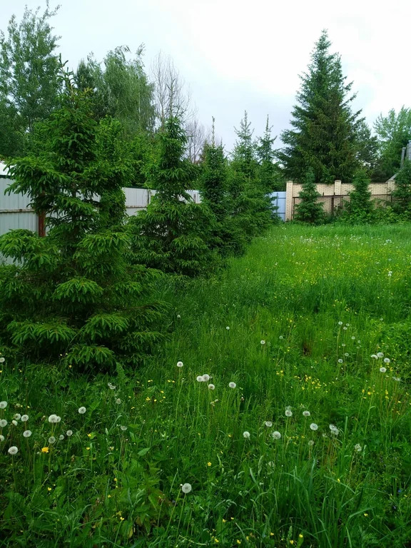 Продажа участка, Николо-Урюпино, Красногорский район, ул. Липовая - Фото 8