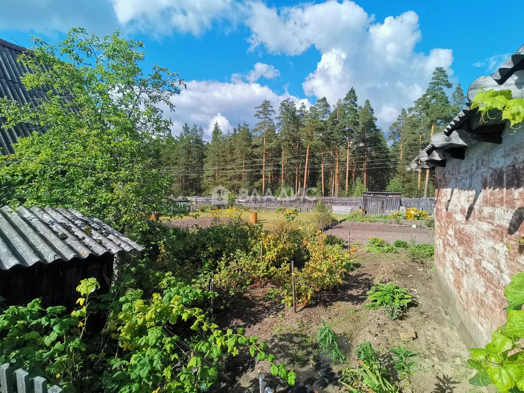 Гусь-Хрустальный район, СДТ Дружба,  дом на продажу - Фото 25
