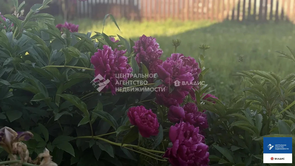 Продажа участка, Сергеевка, Рязанский район - Фото 18