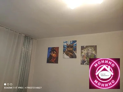 Продажа квартиры, Старая Купавна, Богородский г. о., Кирова - Фото 13