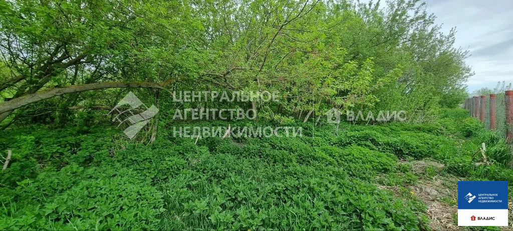 Продажа участка, Гавриловское, Спасский район, ул. Центральная - Фото 4