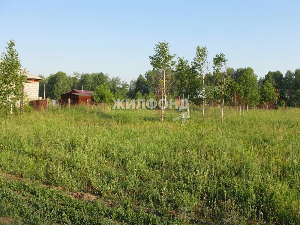 Участки В Бердске Под Строительство Купить