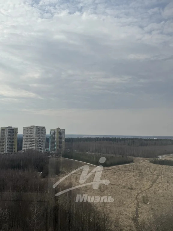 Аренда квартиры, Андреевка, Солнечногорский район, 31Б - Фото 14
