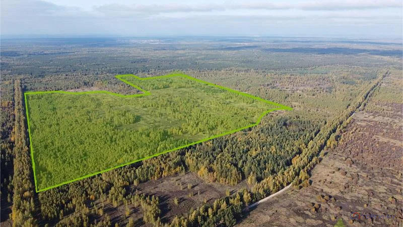 Продажа земельного участка, Варские, Рязанский район - Фото 2