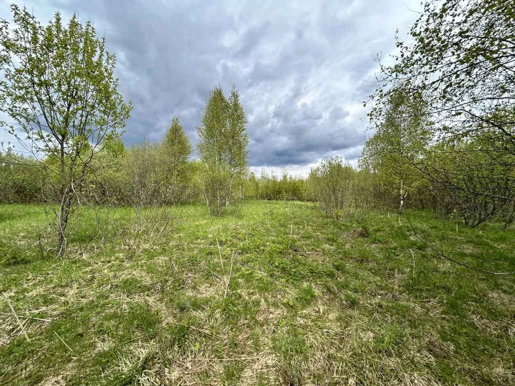 Продажа участка, Пески, Дмитровский район - Фото 6
