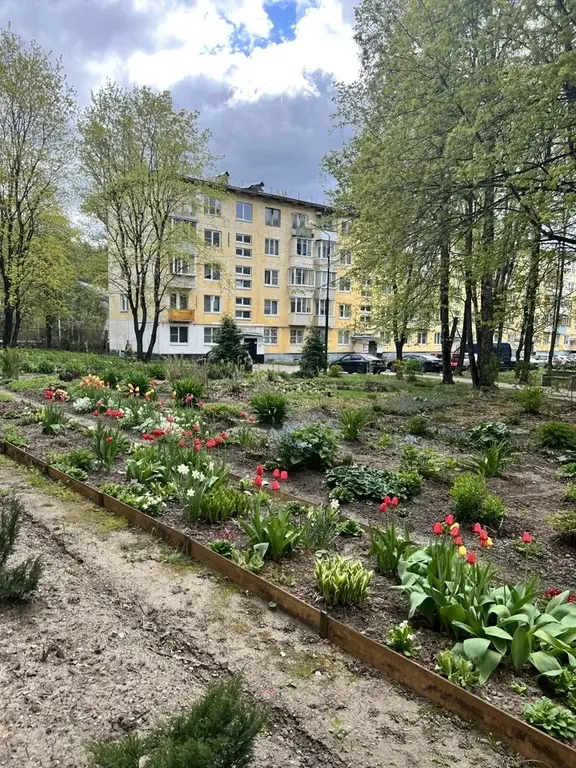 Продаю 3к.кв в пос. Старый городок - Фото 18