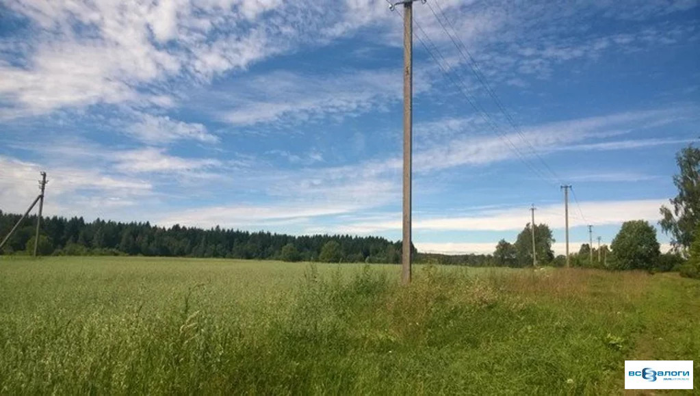 Продажа готового бизнеса, Плиссы, Невельский район, Псковская область, . - Фото 0
