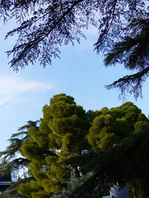 Апартаменты в Крыму, Алушта. У моря премиум класс с панорамным видом - Фото 20