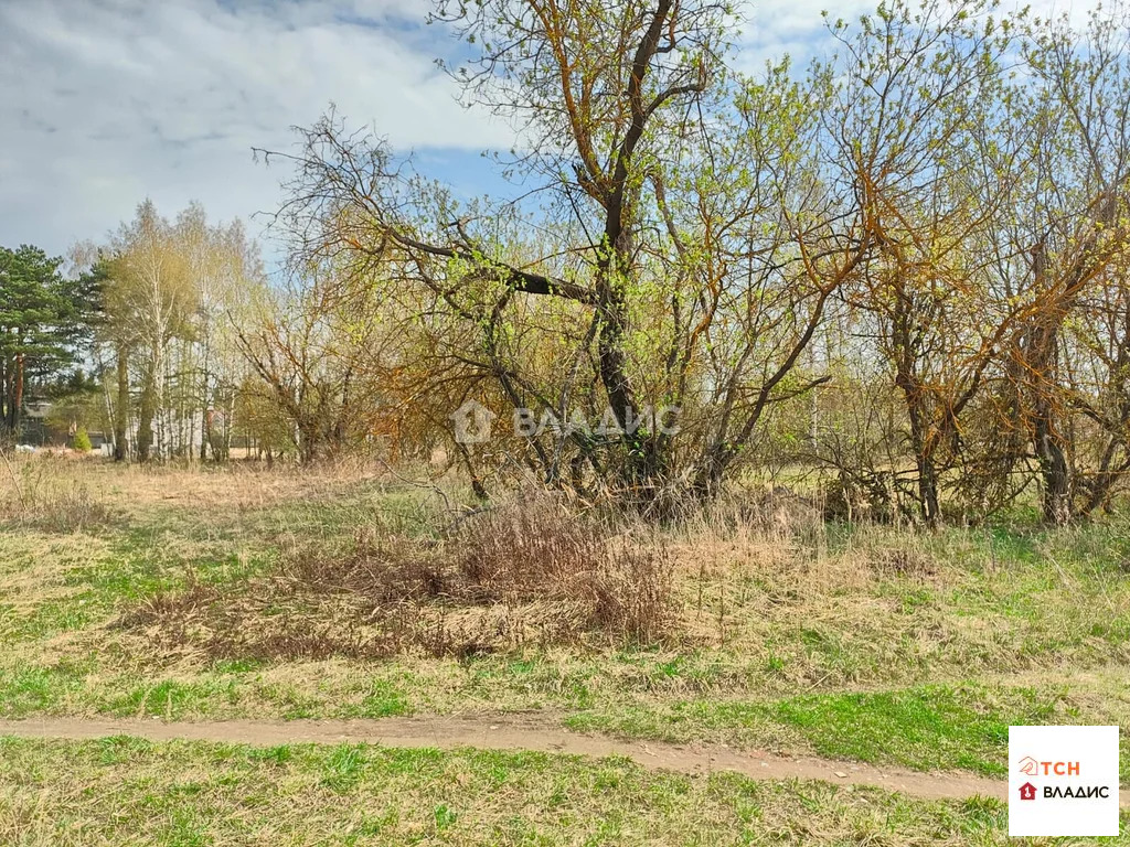 Продажа участка, Ногинск, Богородский г. о., ул. Богородская - Фото 6