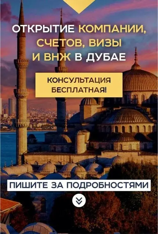 Продажа недвижимости в Дубае, Турции, Таиланде, Грузии от экспертов - Фото 6