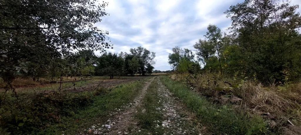 Продажа участка, Оазис, Северский район, переулок Карасунский - Фото 7