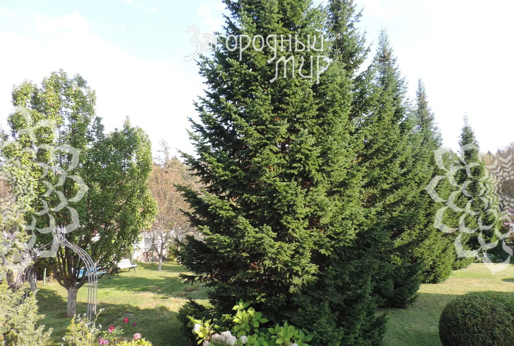 Продам дом, Симферопольское шоссе, 45 км от МКАД - Фото 68