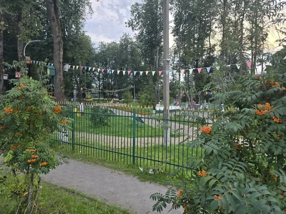 Продаю дом в Медыне - Фото 40