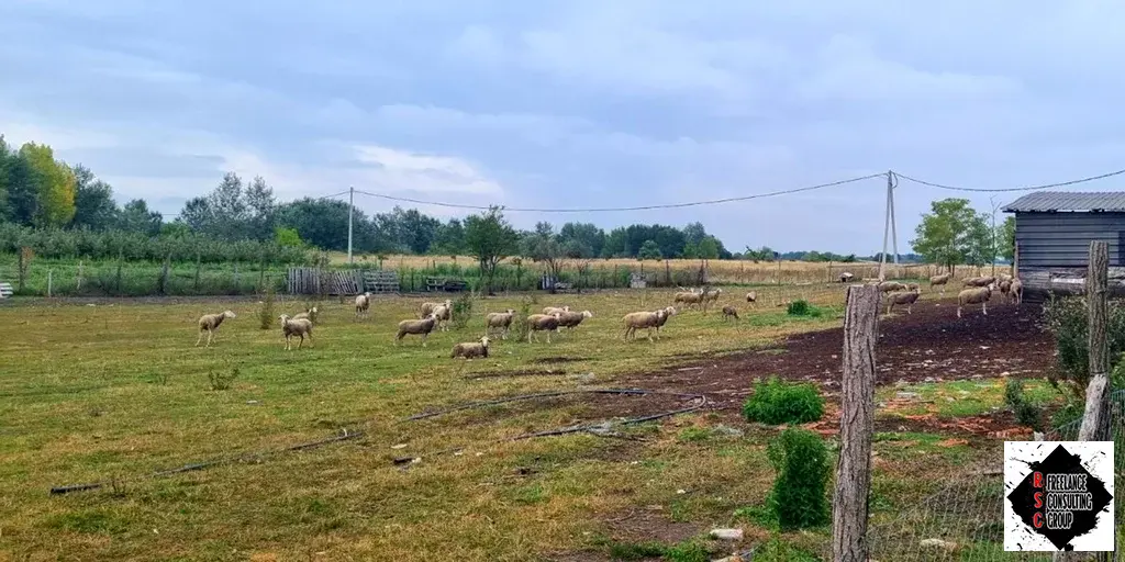 Загородная усадьба с виноградником и прудом в Сербии - Фото 0