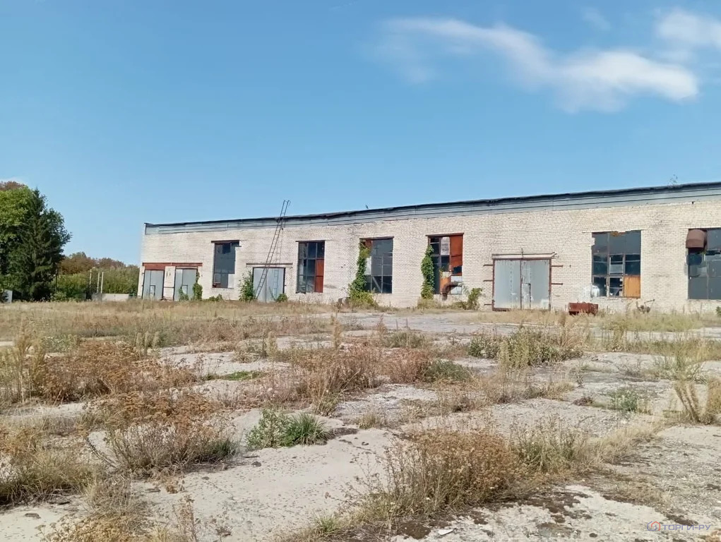 Продажа производственного помещения, Ивня, Ивнянский район, ул. ... - Фото 1