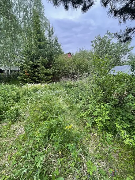 Продаю дачу 60 кв. м СНТ «Плутон», рядом с д. Волково Ступинский район - Фото 13