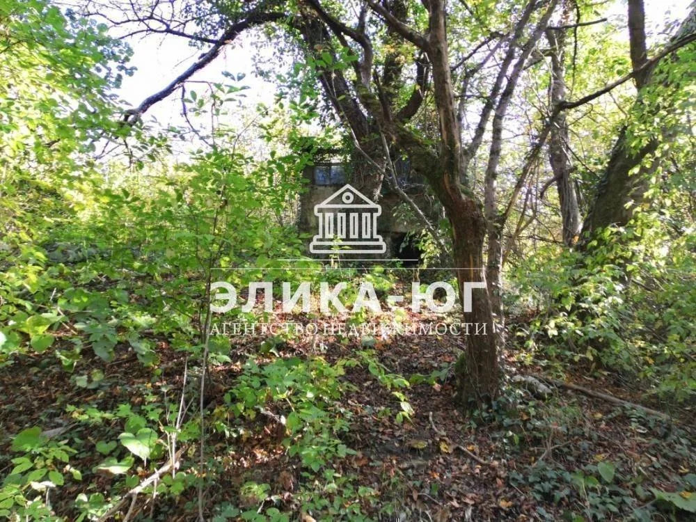 Продажа участка, Вольное, Туапсинский район, ул. Лесная - Фото 6