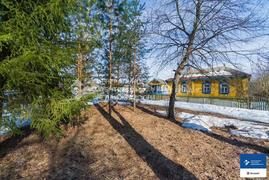 Продажа дома, Песочня, Путятинский район, ул. Красная - Фото 2